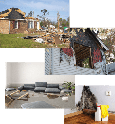 Fire Damage Repaid, Mold Remediation &Amp;Amp; More In Raleigh Nc