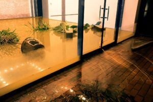 Flood Restoration Louisburg Nc