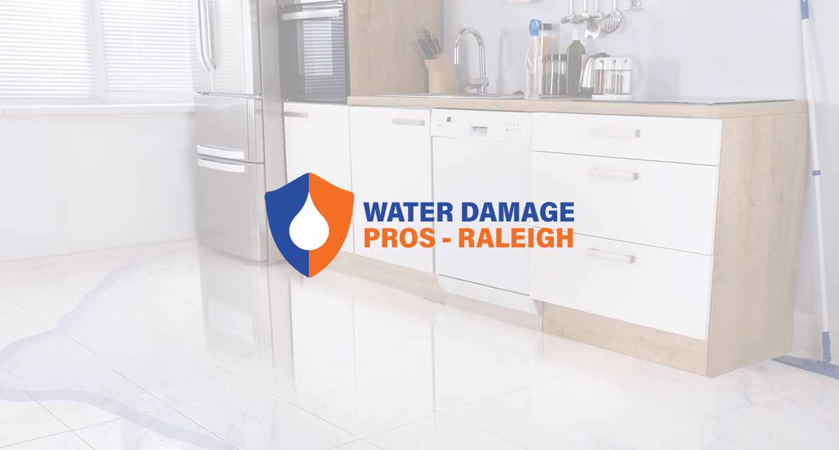 The Water Damage Pros Greensboro photo
