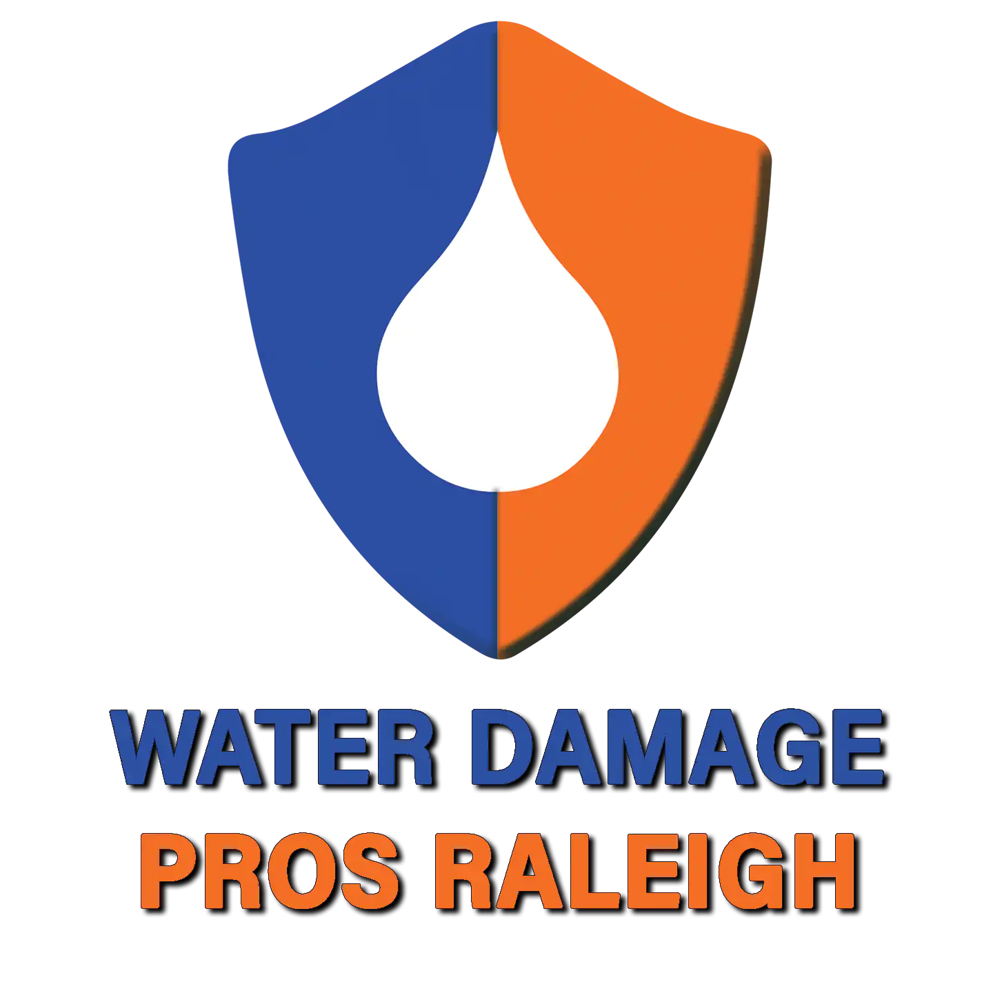 Water Damage Pros Raleigh Logo