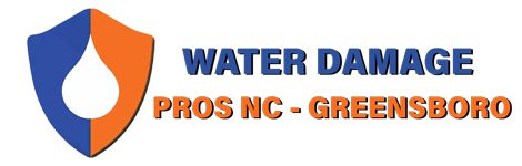 Water Damage Pros Greensborologo