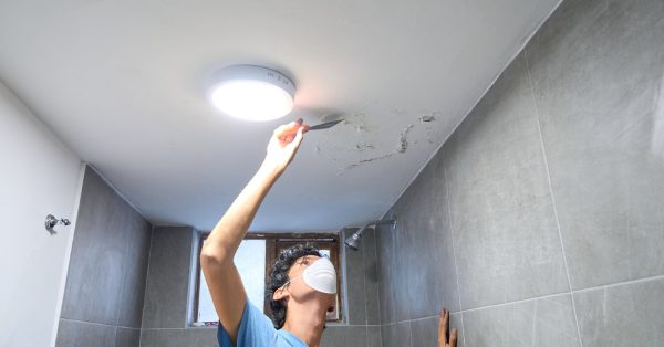 The Role Of Water Mitigation In Preventing Mold Growth 15 The Role Of Water Mitigation In Preventing Mold Growth