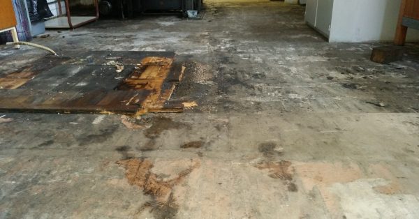 The Water Restoration Process: What Homeowners Need To Know 5 The Water Restoration Process For Homeowners