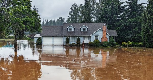 Why Professional Flood Damage Restoration Is Essential For Your Home 6 Why Professional Flood Damage Restoration Is Essential For Your Home