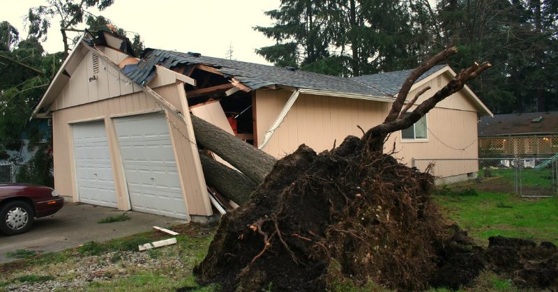Fast And Efficient Restoration Services When Disaster Strikes 13 Fast And Efficient Restoration Services When Disaster Strikes