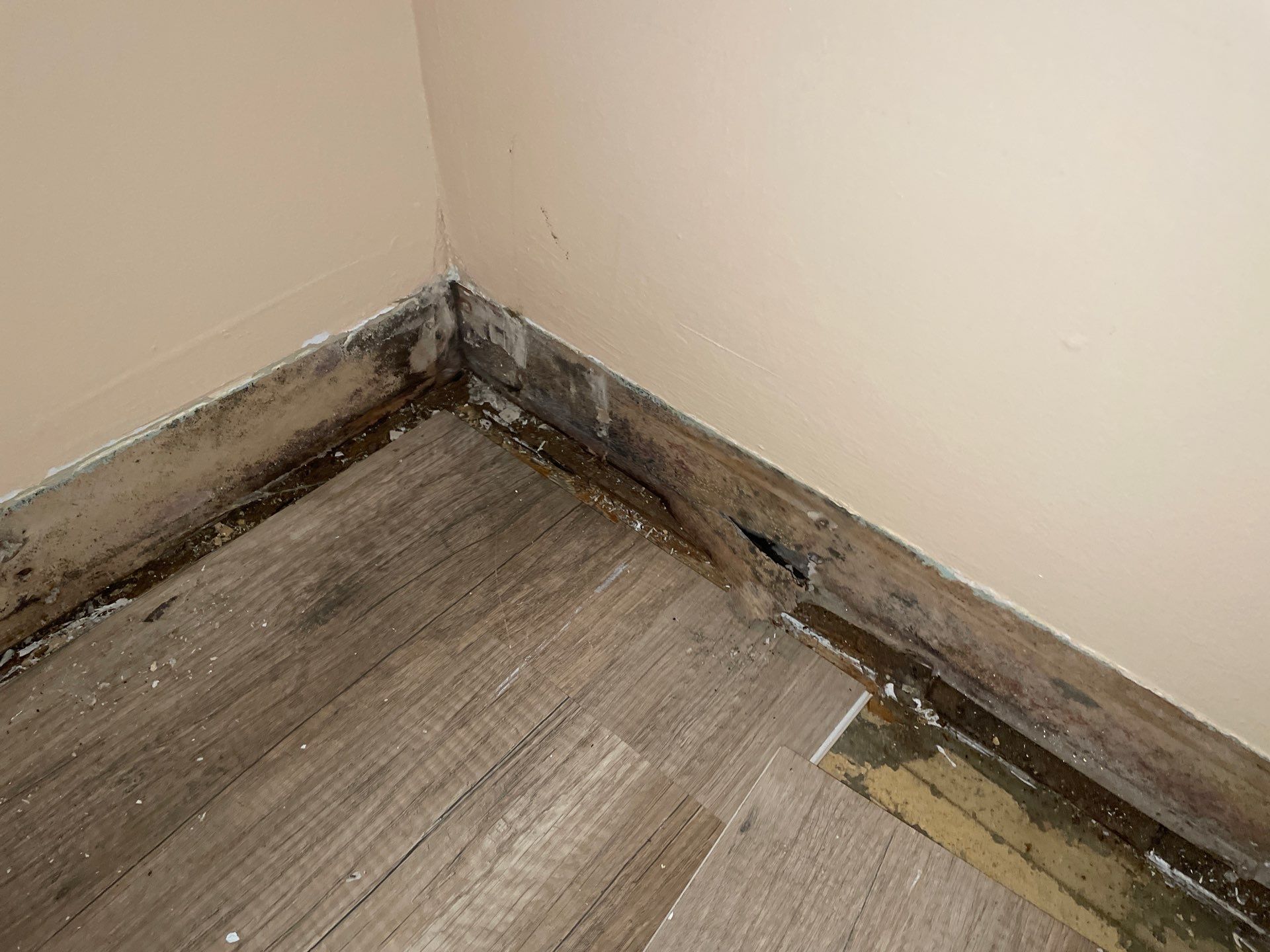 What Is The Cost Of Microbial Growth Remediation Due To Water Damage? 9 What Is The Cost Of Microbial Growth Remediation Due To Water Damage?