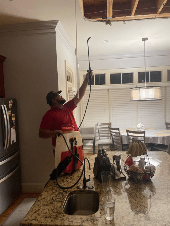 Water Damage Specialist Services In Raleigh | Water Damage Pros Nc