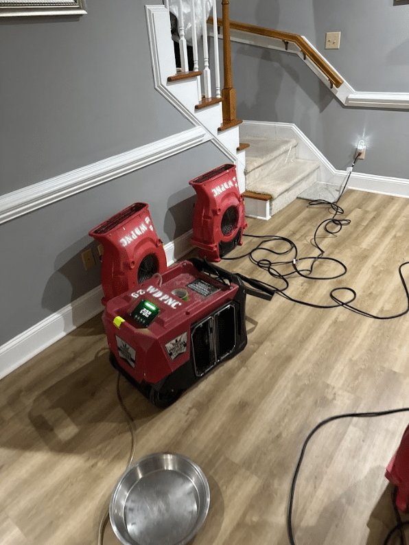 Untreated Water Damage In Raleigh | Water Damage Pros Nc